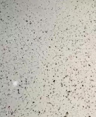 Photo #6: 6408982 Listing 