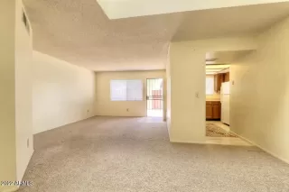 Photo #1: 6411683 Listing