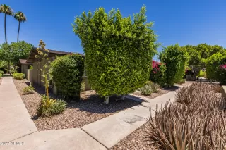 Photo #2: 6414083 Listing