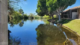 Photo #1: 6416297 Listing 