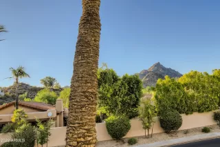 Photo #1: 6418056 Listing