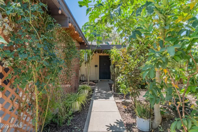 MLS: 6420006 Condo For Sale