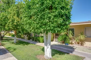 Photo #4: 6426542 Listing