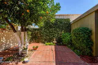 Photo #2: 6427844 Listing