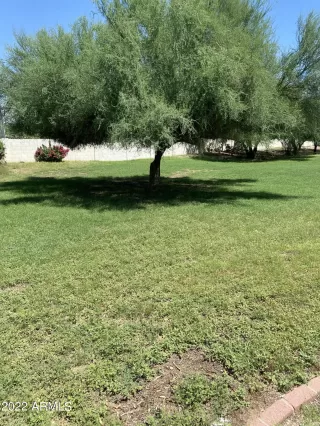 Photo #1: 6428056 Listing