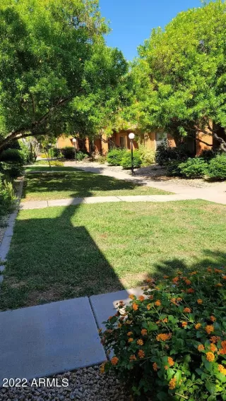 Photo #4: 6429022 Listing