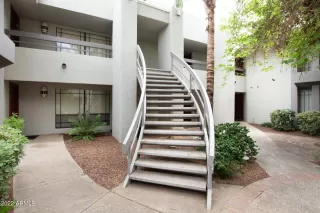 Photo #1: 6444136 Listing 