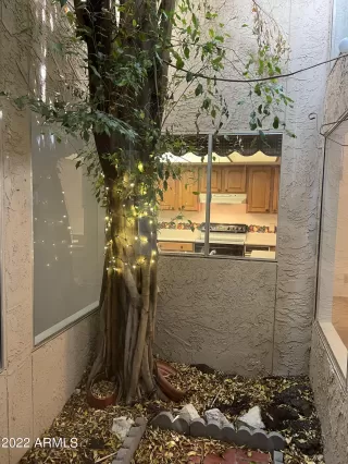 Photo #5: 6444985 Listing