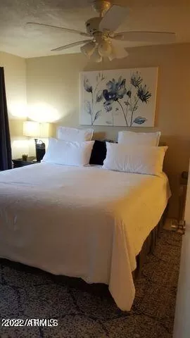 Photo #6: 6449167 Listing 