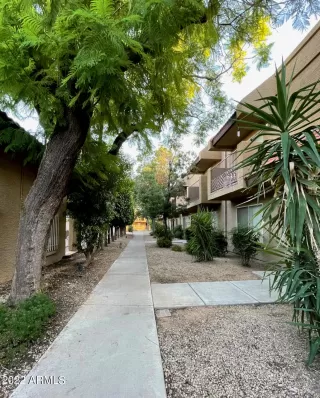 Photo #1: 6458752 Listing 