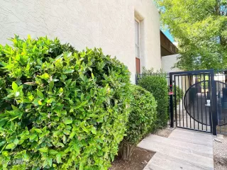 Photo #1: 6463363 Listing