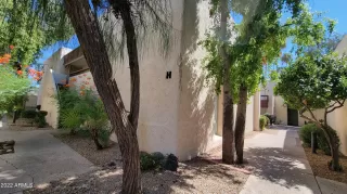 Photo #1: 6466518 Listing