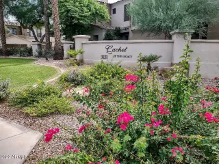 Photo #2: 6466816 Listing