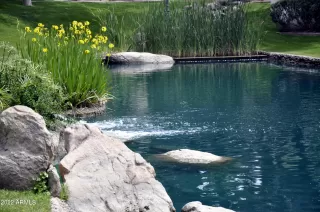 Photo #1: 6475738 Listing