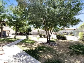 Photo #5: 6478204 Listing 