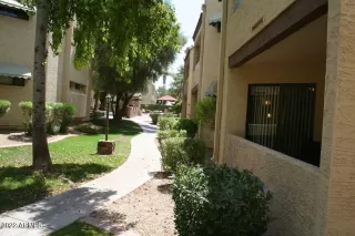 Photo #2: 6479523 Listing