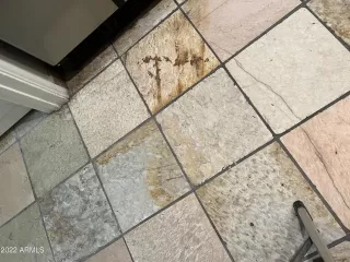 Photo #6: 6486317 Listing