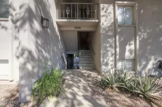 Photo #1: 6487369 Listing