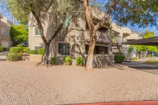 Photo #1: 6491387 Listing 