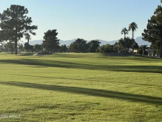 Photo #2: 6491574 Listing