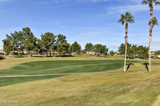 Photo #1: 6493627 Listing 