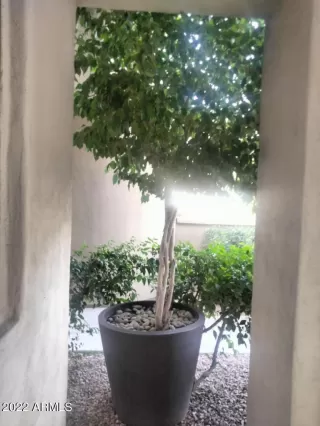 Photo #3: 6495659 Listing