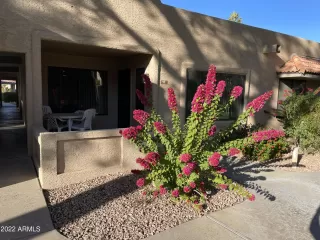 Photo #1: 6497381 Listing 