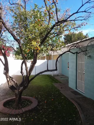 Photo #4: 6497510 Listing 