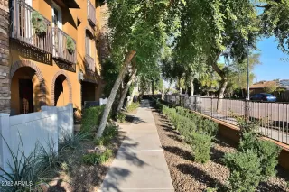 Photo #5: 6499699 Listing