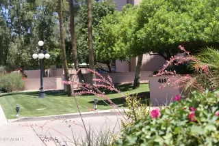 Photo #4: 6501327 Listing