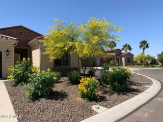 Photo #1: 6502737 Listing 