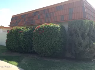 Photo #1: 6507516 Listing 