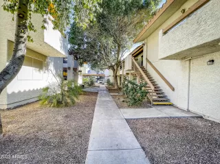 Photo #5: 6507534 Listing