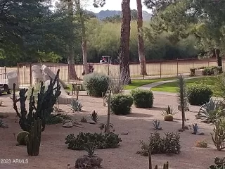 Photo #1: 6507604 Listing 