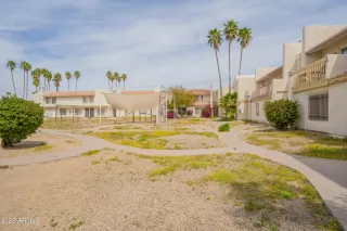 Photo #1: 6510009 Listing