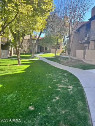 Photo #1: 6518175 Listing