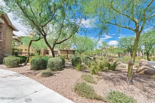Photo #1: 6528659 Listing