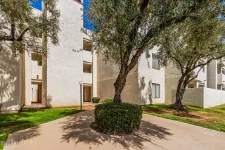 Photo #1: 6533277 Listing