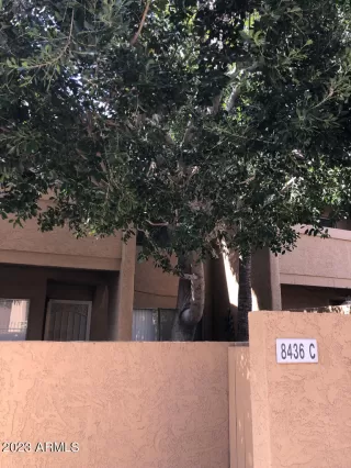 Photo #6: 6533452 Listing