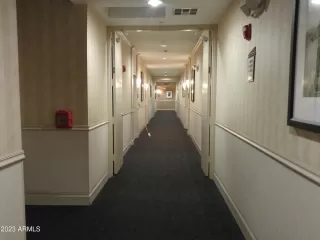 Photo #1: 6534447 Listing 