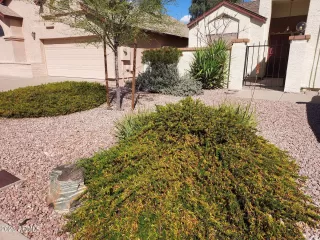 Photo #4: 6541708 Listing