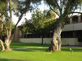 Photo #2: 6542235 Listing