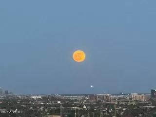 Photo #6: 6545852 Listing 