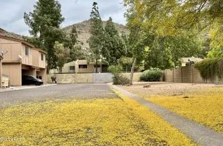 Photo #6: 6548265 Listing