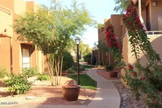 Photo #1: 6548344 Listing 