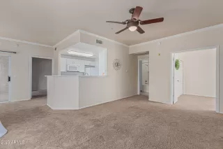 Photo #5: 6549771 Listing 