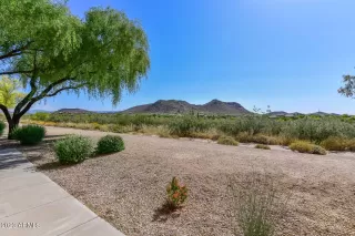 Photo #5: 6553463 Listing 