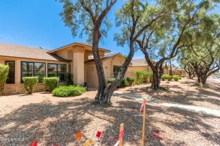 Photo #1: 6553808 Listing 