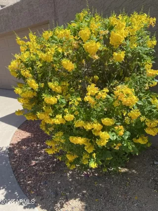 Photo #1: 6554296 Listing 