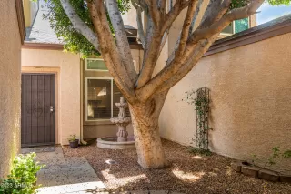 Photo #1: 6556994 Listing